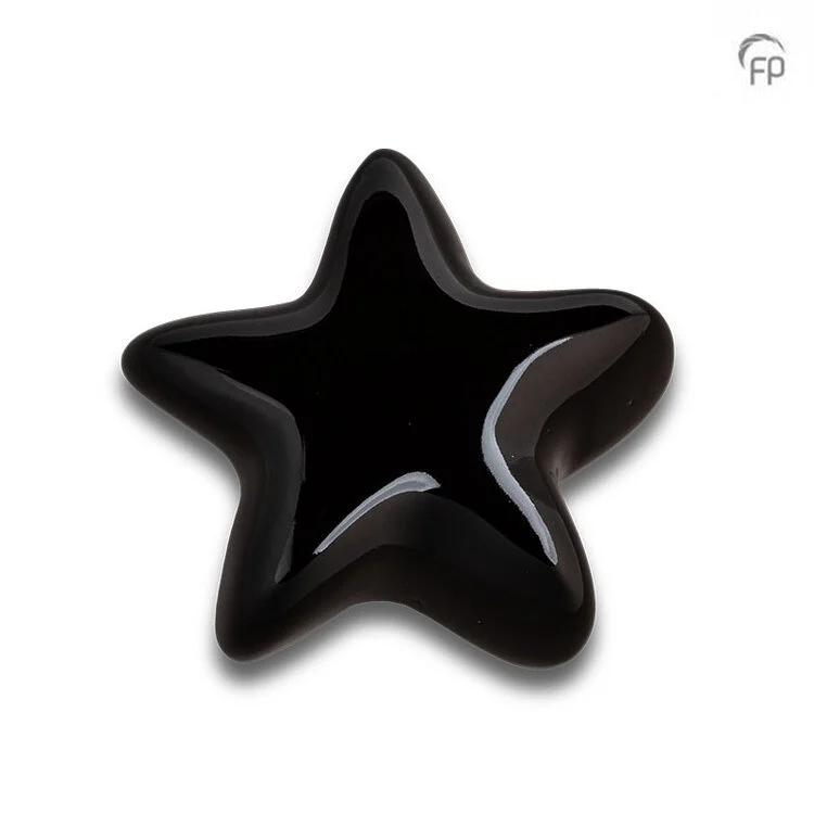 FPU 062 - Ceramic art urn Keepsake Asteri