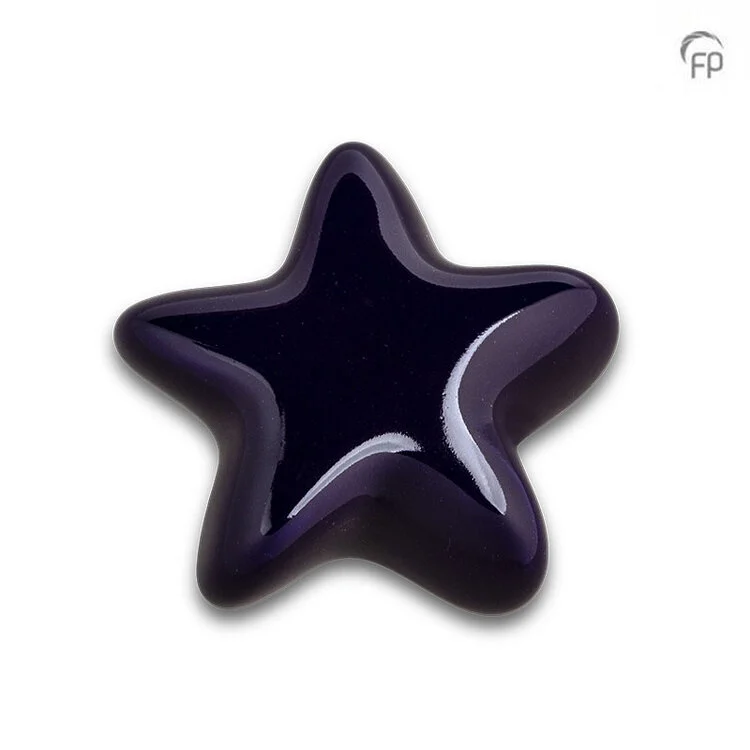 FPU 063 - Ceramic art urn Keepsake Asteri