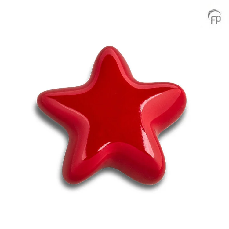 FPU 065 - Ceramic art urn Keepsake Asteri
