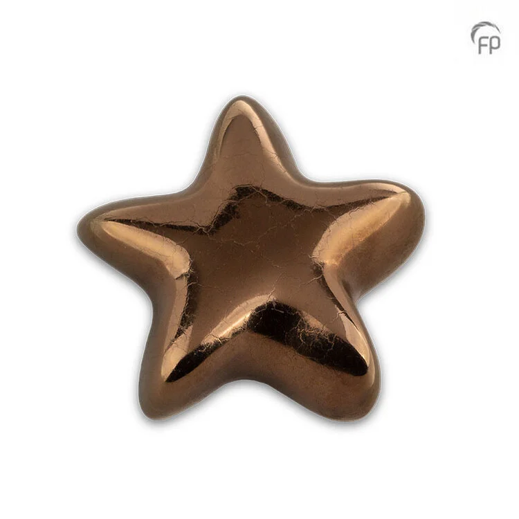 FPU 069 - Ceramic art urn Keepsake Asteri